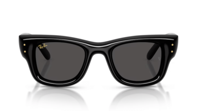 Ray-Ban 4940 Wayfarer Puffer